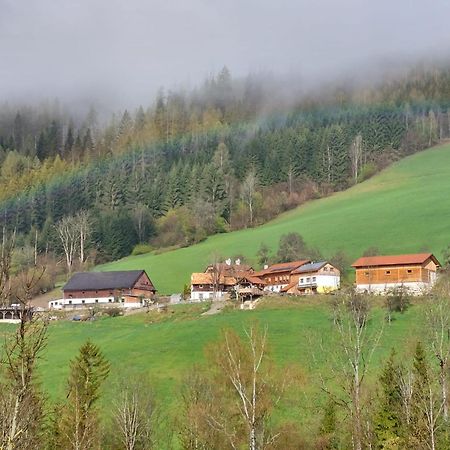 Troadkasten - Ferienhaus Am Bio-Bergbauernhof Aflenz Kurort Ngoại thất bức ảnh