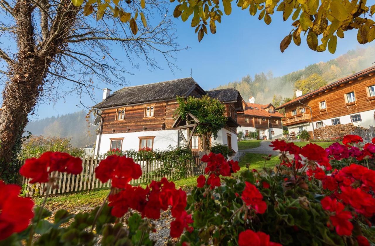 Troadkasten - Ferienhaus Am Bio-Bergbauernhof Aflenz Kurort Ngoại thất bức ảnh