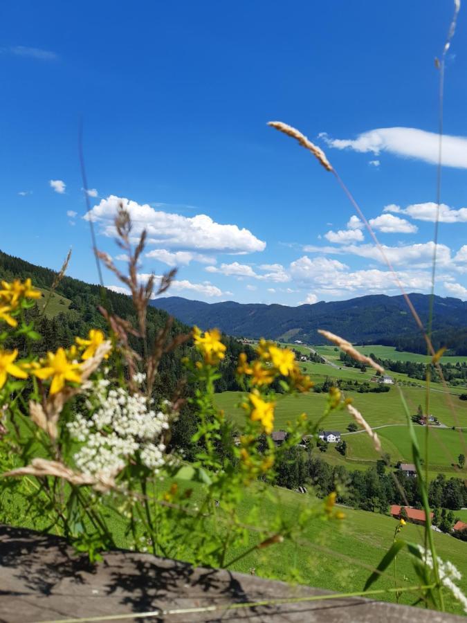 Troadkasten - Ferienhaus Am Bio-Bergbauernhof Aflenz Kurort Ngoại thất bức ảnh