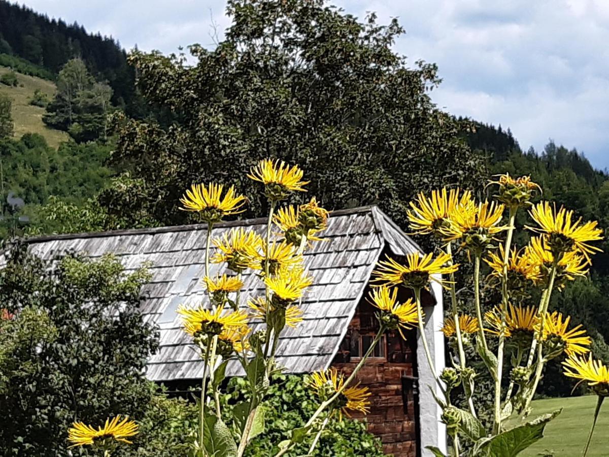 Troadkasten - Ferienhaus Am Bio-Bergbauernhof Aflenz Kurort Ngoại thất bức ảnh