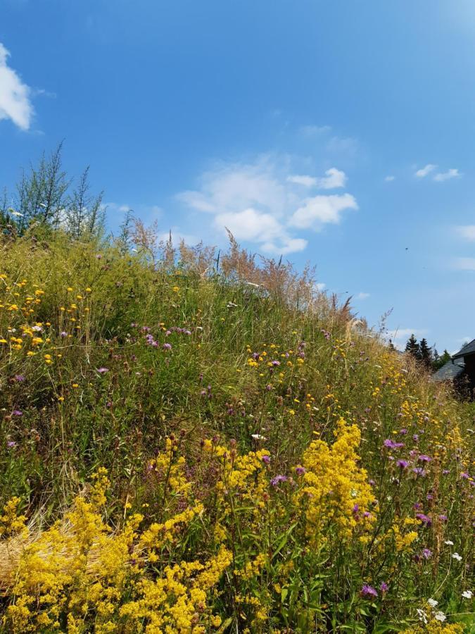 Troadkasten - Ferienhaus Am Bio-Bergbauernhof Aflenz Kurort Ngoại thất bức ảnh